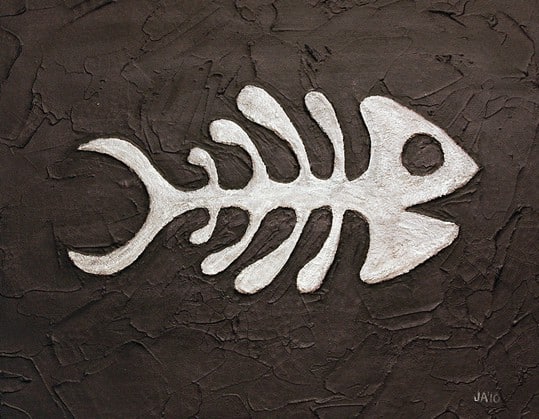 Fish Bones by John Andrews